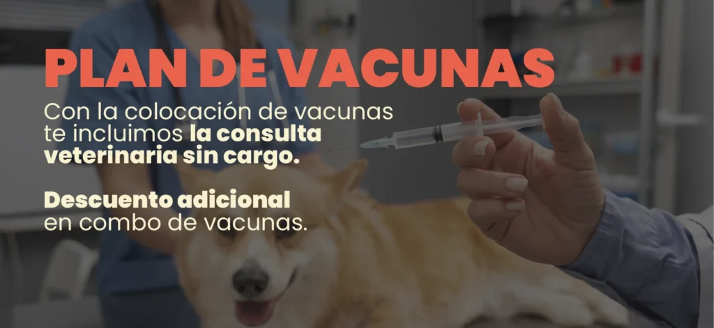 Banner plan de vacunas mobile DCM