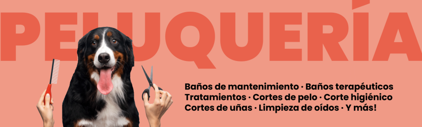 Banner peluquería DCM