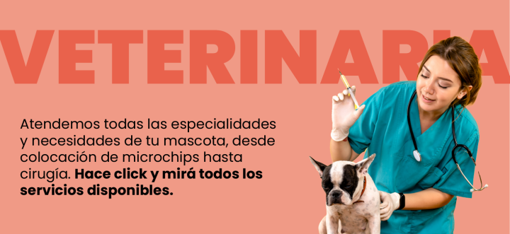 Banner veterinaria DCM