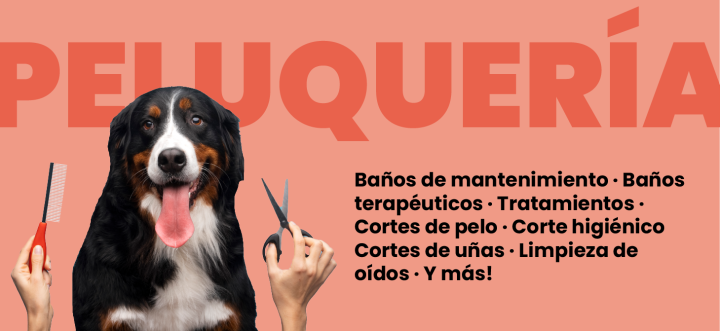 Banner peluquería DCM